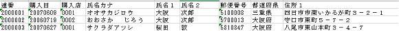 CSVファイル個人情報削除マスク例１