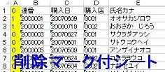 重複行削除マーク付き元のデータ