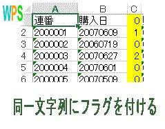 重複文字列のフラグ付けロゴ